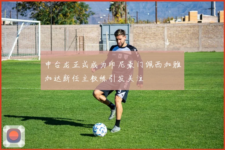 申台龙正式成为印尼豪门佩西加雅加达新任主教练引发关注