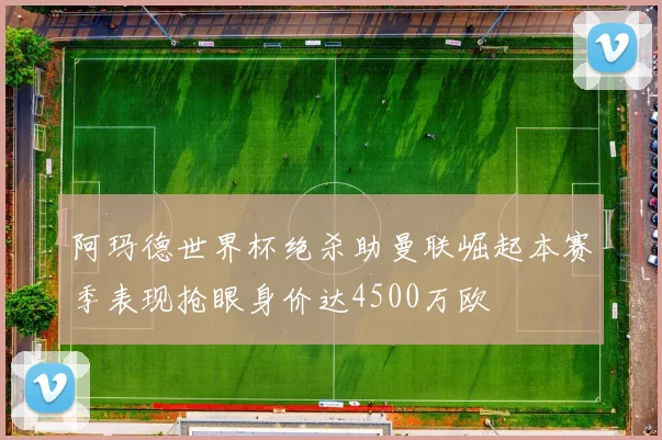 阿玛德世界杯绝杀助曼联崛起本赛季表现抢眼身价达4500万欧