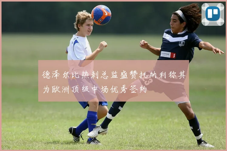 德泽尔比热刺总监盛赞托纳利称其为欧洲顶级中场优秀签约