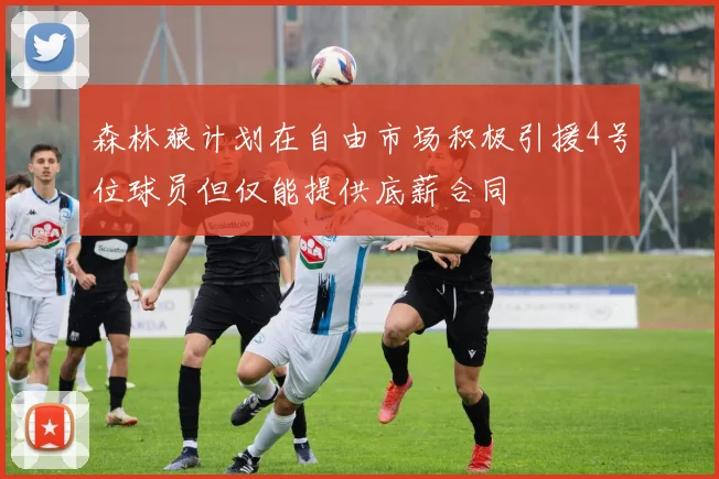 森林狼计划在自由市场积极引援4号位球员但仅能提供底薪合同